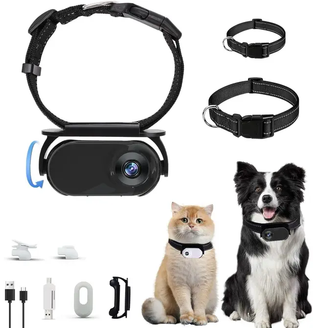 Pet Recorder HD Mini Camera Magnetic Suction Black Without Card - Shop at LoveMi