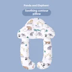 Panda And Elephant