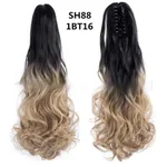 Sh88 1Bt16