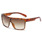 Hawksbill Gradient Dried