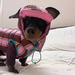 Only The Hat