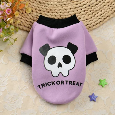 Halloween Pumpkin Skull Pet Teddy Small Dog Autumn Winter Sweater Purple - Shop at LoveMi
