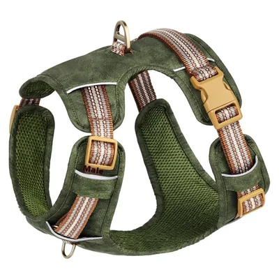 Explosion proof Reflective Retro Leather Pet Harness Green - Shop at LoveMi