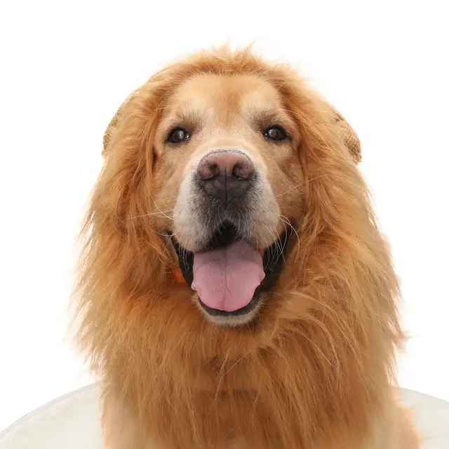 Pet Supplies Dog Wig Dog Hat Lion Head Cover Light Brown - Shop at LoveMi