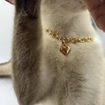 Golden 25Cm