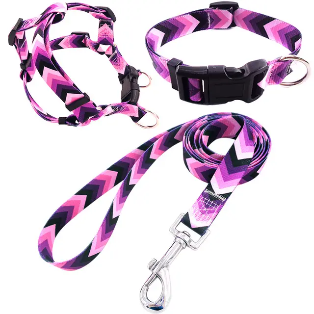 Pet Printing Collar Rope Chest Strap Traction Three piece Set Purple Arrow - Shop at LoveMi