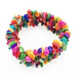 Colorful Shell