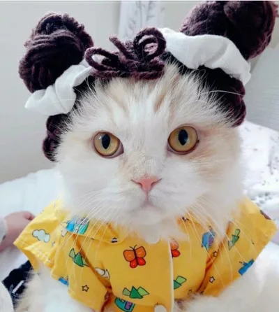 Cat Headgear Double Dough twist Style Plaits Handmade White Double Head Covered - Shop at LoveMi