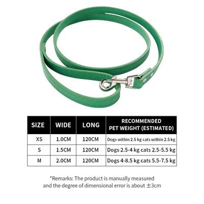 Pet Cat Pulling Rope Dog PU Leather Dog Chain Traction Belt Outing Cat Pulling Rope Dog Leash Green - Shop at LoveMi