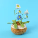 5 Gradient Blue Bell Orchids