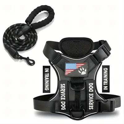 Pet Dog Breast Strap Dog Leash Dog Leash Black - Shop at LoveMi