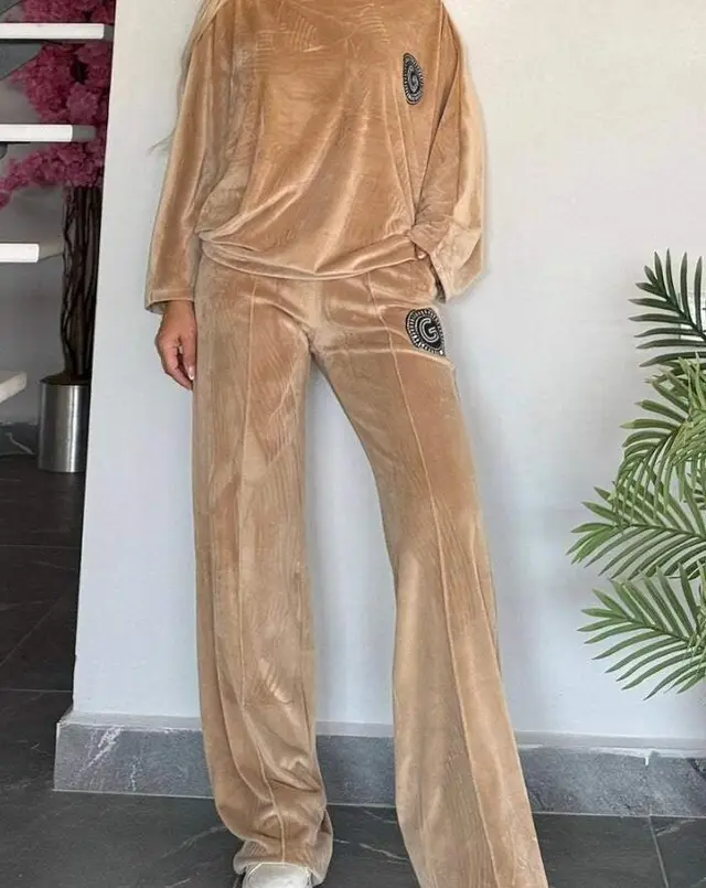 Velvet Solid Color Crew neck Batwing Sleeve Casual Two piece Suit Women's Clothing Camel - Shop at LoveMi