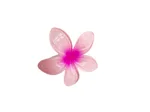 Plumeria Rubra Duck Clip Pink