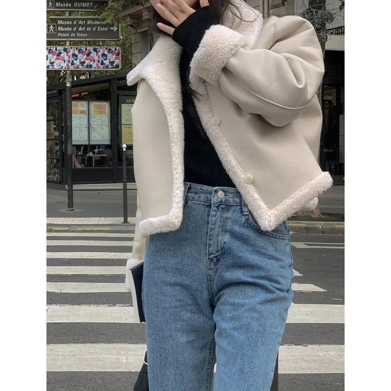 Retro Lapels Fur One Two-sided Lamb Fur Coat - Apricot