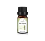 Eucalyptus Essential Oil