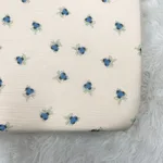 Blueberry