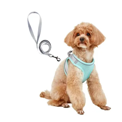 Dog Hand Holding Rope Vest Small Dog Dog Leash Teddy Bichon Breathable Chest Strap Pomeranian Puppy Small Dog Leash Style1 - Shop at LoveMi