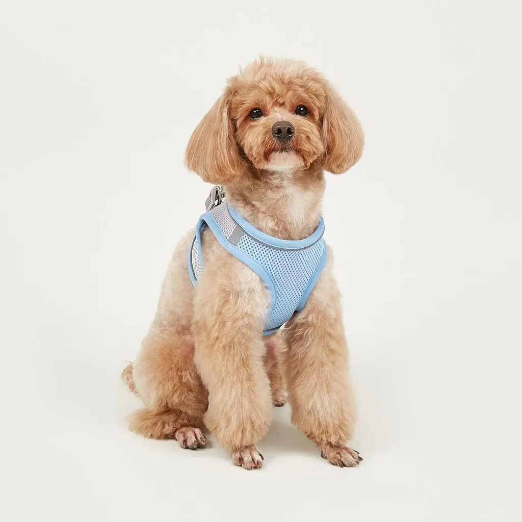 Dog Hand Holding Rope Vest Small Dog Dog Leash Teddy Bichon Breathable Chest Strap Pomeranian Puppy Small Dog Leash - Style10
