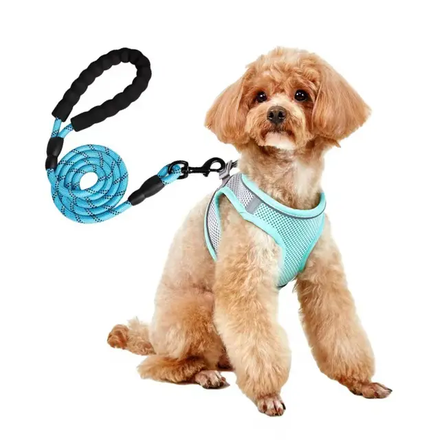 Dog Hand Holding Rope Vest Small Dog Dog Leash Teddy Bichon Breathable Chest Strap Pomeranian Puppy Small Dog Leash Style11 - Shop at LoveMi