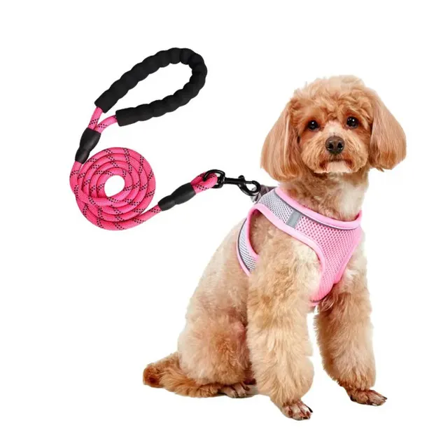 Dog Hand Holding Rope Vest Small Dog Dog Leash Teddy Bichon Breathable Chest Strap Pomeranian Puppy Small Dog Leash Style13 - Shop at LoveMi