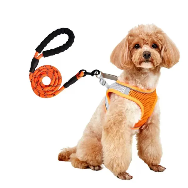 Dog Hand Holding Rope Vest Small Dog Dog Leash Teddy Bichon Breathable Chest Strap Pomeranian Puppy Small Dog Leash Style14 - Shop at LoveMi
