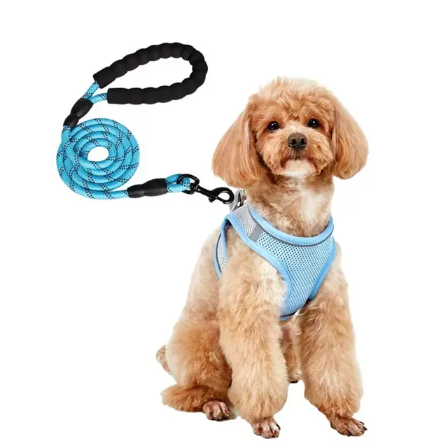 Dog Hand Holding Rope Vest Small Dog Dog Leash Teddy Bichon Breathable Chest Strap Pomeranian Puppy Small Dog Leash Style15 - Shop at LoveMi