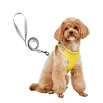 Dog Hand Holding Rope Vest Small Dog Dog Leash Teddy Bichon Breathable Chest Strap Pomeranian Puppy Small Dog Leash - Style2
