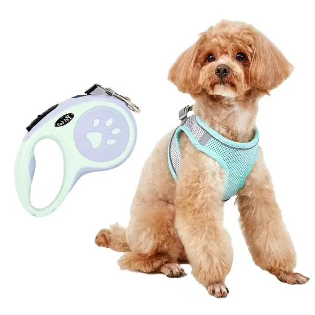 Dog Hand Holding Rope Vest Small Dog Dog Leash Teddy Bichon Breathable Chest Strap Pomeranian Puppy Small Dog Leash Style21 - Shop at LoveMi
