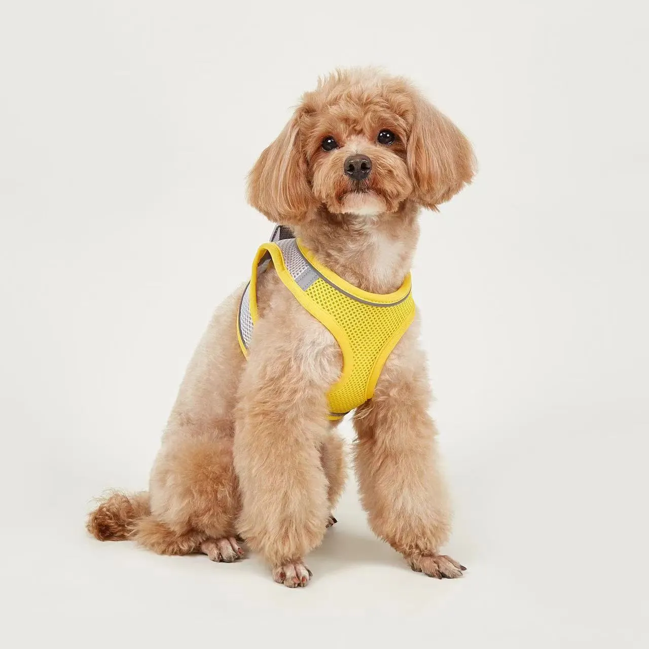 Dog Hand Holding Rope Vest Small Dog Dog Leash Teddy Bichon Breathable Chest Strap Pomeranian Puppy Small Dog Leash - Style7
