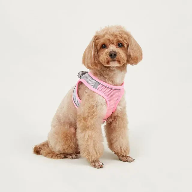 Dog Hand Holding Rope Vest Small Dog Dog Leash Teddy Bichon Breathable Chest Strap Pomeranian Puppy Small Dog Leash Style8 - Shop at LoveMi