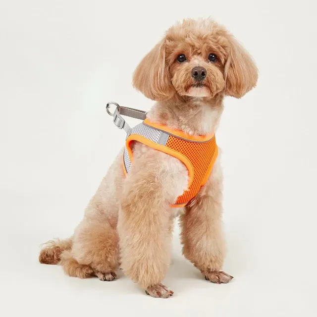 Dog Hand Holding Rope Vest Small Dog Dog Leash Teddy Bichon Breathable Chest Strap Pomeranian Puppy Small Dog Leash Style9 - Shop at LoveMi