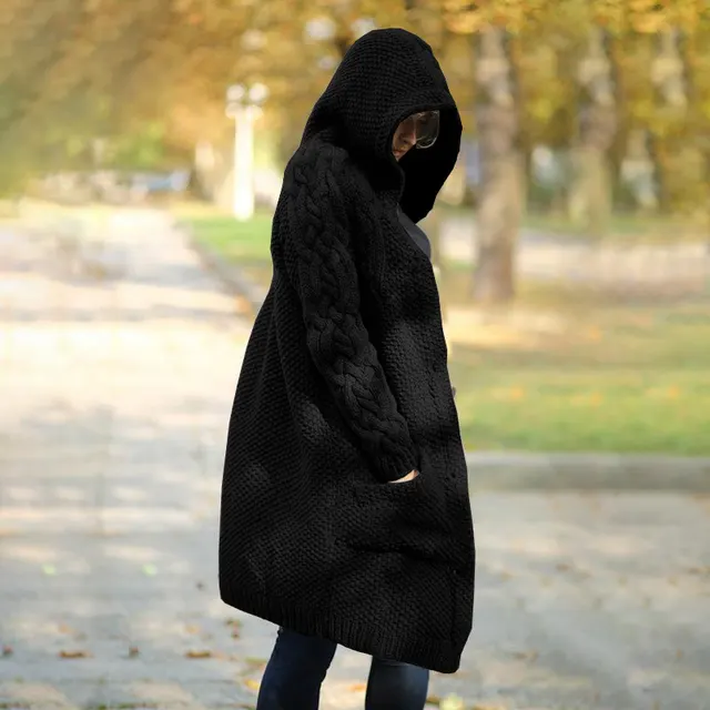 Winter New Women's Hooded Single breasted Slim Sweater Coat Black - Shop at LoveMi