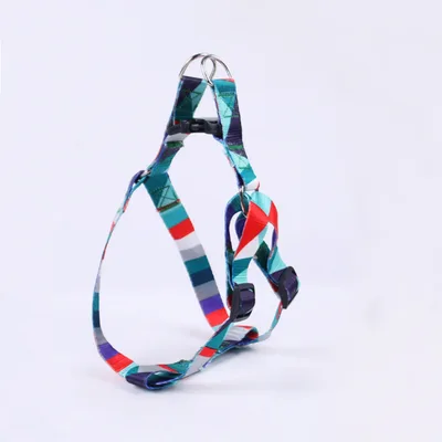 Hand Holding Rope Outing Dog Leash Dog Collar Three piece Set Blue And Red Single Chest An - Shop at LoveMi