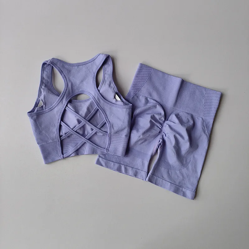 Quick drying Sports Suit Women's Seamless Yoga Suit Yoga Clothes Shorts Two piece Set Violet Bra Shorts M - Shop at LoveMi