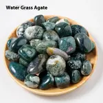 Water Plants Agate 100G