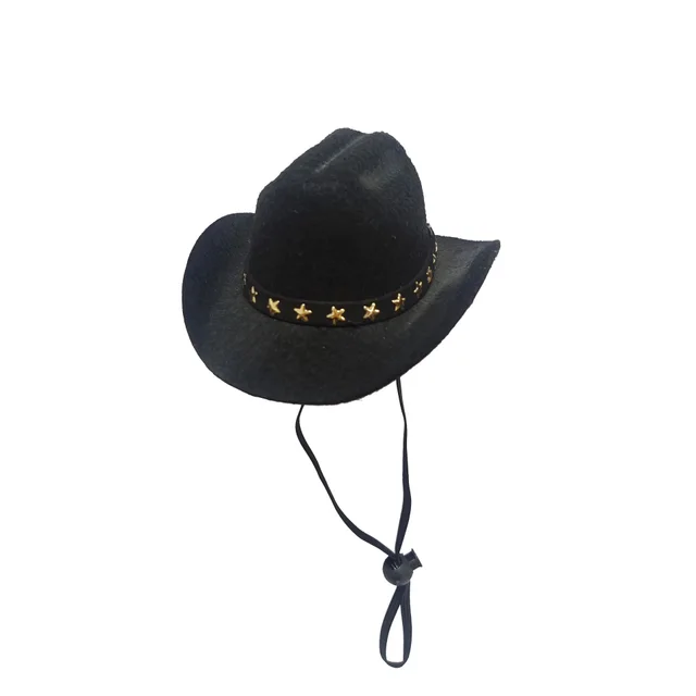 Fashion Cat Five pointed Star Pet Cowboy Hat Black - Shop at LoveMi