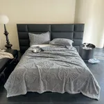 Blue And Gray