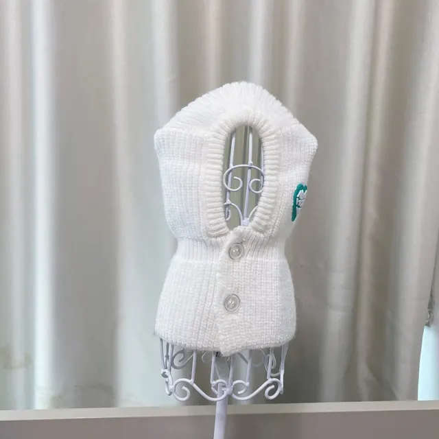 New Fashion Pet Autumn And Winter Knitted Hat White - Shop at LoveMi