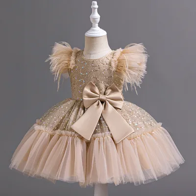Flower Children's Clothing Children's Wedding Dress Tulle Skirt Summer Champagne 120Cm - Shop at LoveMi