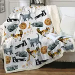 Style15