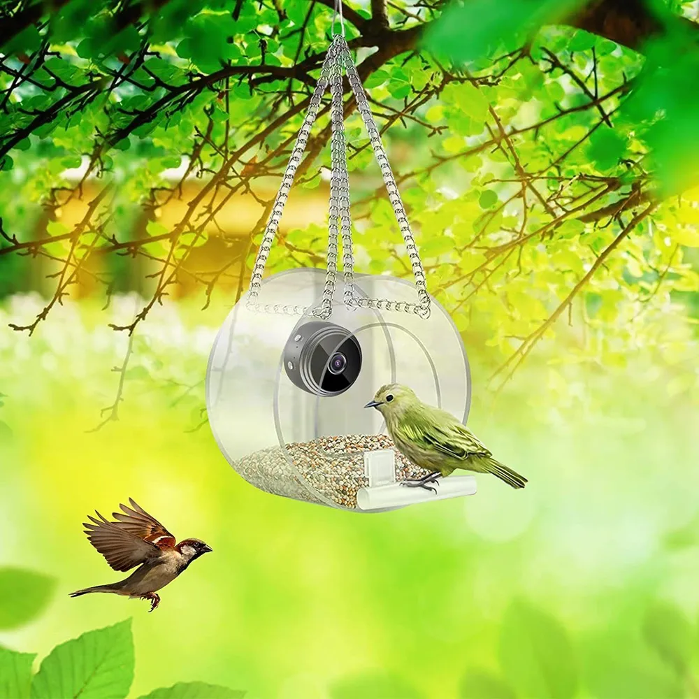 Pet Smart Feeder Outdoor Real time Monitoring With HD Camera Transparent - Shop at LoveMi