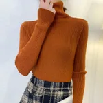 Caramel Color