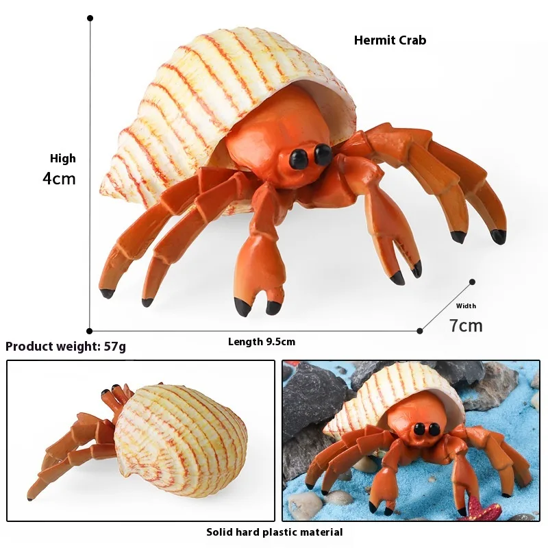 Simulation Marine Animal Model Children's Cognitive Toy - Hermit Crab Stripes - View 1