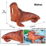 Js Mini Walrus