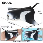 Manta Ray Fish