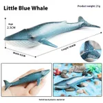 Tq Small Blue Whale