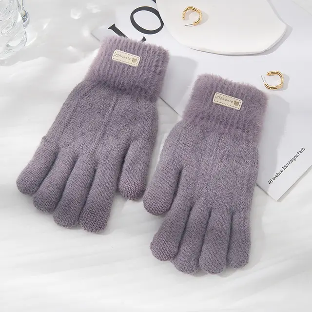 Student Riding Thickened Warm Double layer Touch Screen Gloves Double Purple - Shop at LoveMi