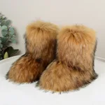 Raccoon Natural Color-37