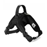 Mesh Black