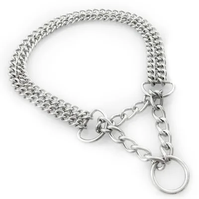 Stainless Steel 304 Explosion proof Small And Medium Size Pet Collar Steel Color - Shop at LoveMi